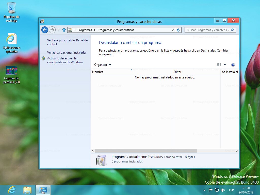Windows 8 - Programas y características