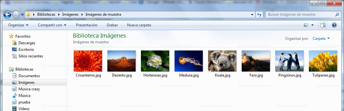 Explorador de archivos - Vista en miniatura