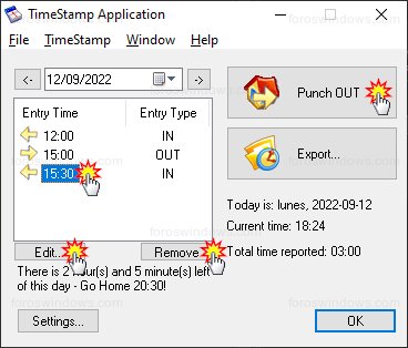 TimeStamp Application - Editar o borrar horas de fichar