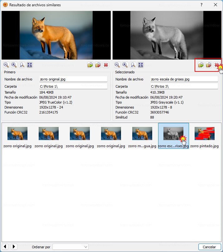 XnView - Copiar, mover o borrar imagen