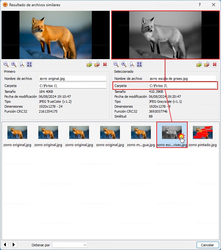 XnView - Preview y ruta de la imagen duplicada