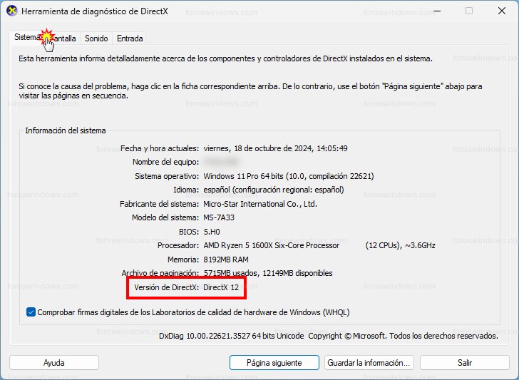 Herramienta de diagnóstico de DirectX - Versión de DirectX: DirectX 12